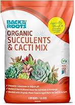 Back to the Roots 100% Organic Succulent & Cacti Mix (6 Quart) | Made in The USA | Premium Nutrition for Indoor and Outdoor Plants