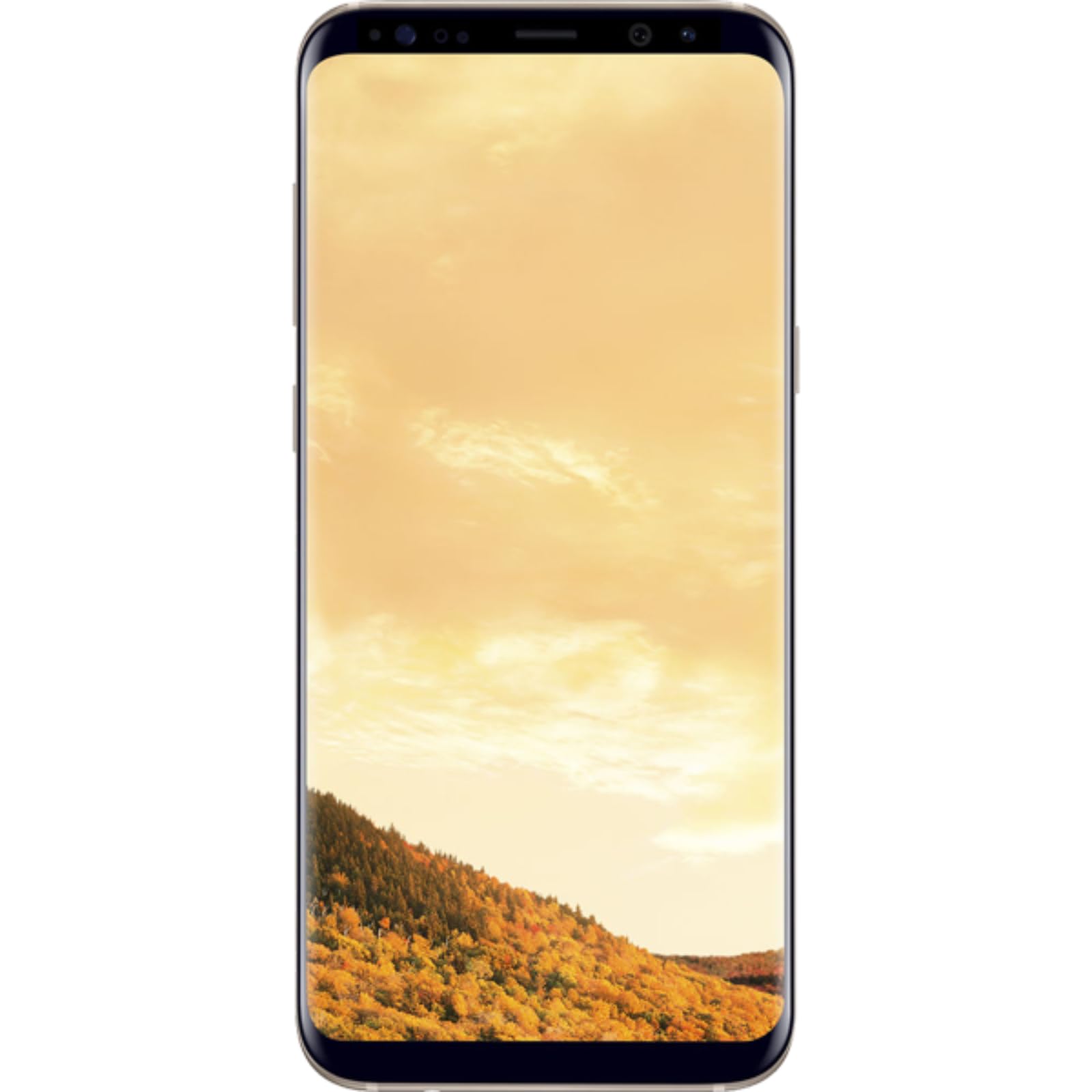 Galaxy S8+ （海外版 SM-G955FD） Amazon.com: Samsung Galaxy S8+ Plus SM-G955FD 64GB Dual Sim