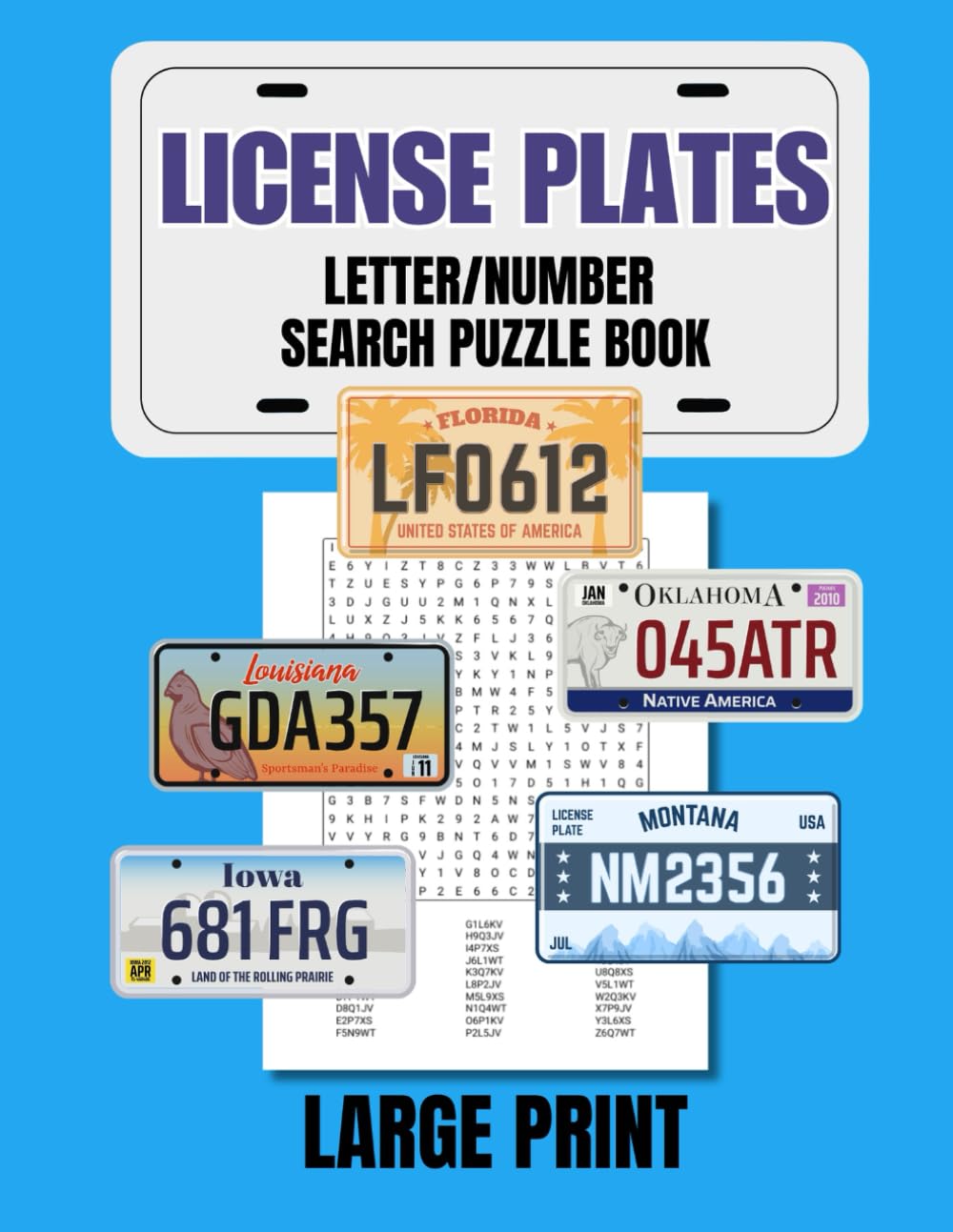 License Plates Number Word Search Puzzle Book: 100 Puzzles, 3000 Number and Letter Combinations to Search