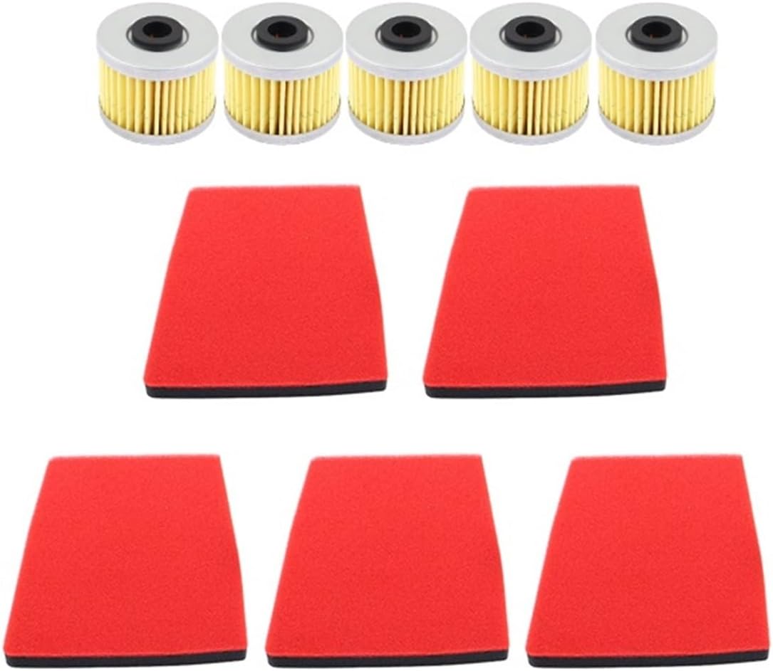 Washable Motorcycle Air Filter Oil Filters for 300RR 300R 300AC 300DS 250RR 300GY LX300 LX300-6A CR6 LX300R(1PCS AIR Filter)