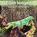 BESPORTBLE 4Pcs Reptile Cork Bark Aquarium Background Decor for Fish Tank and Terrarium Natural Climbing Board for Gecko Lizard Frog Bearded Dragon Safe and Realistic