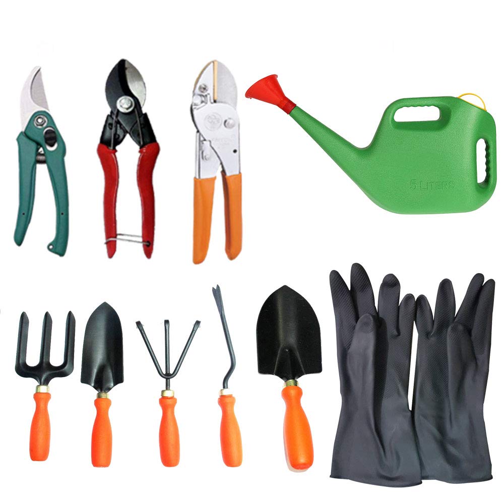 JetFire Garden Tool Set of 5 with Flemingo Cutter, Heavy Cutter, Pruner & Multipurpose Gloves Black & Water Can Garden Tool Kit (10 Tools) (B07MZ4DSF3) Amazon Price History, Amazon Price Tracker