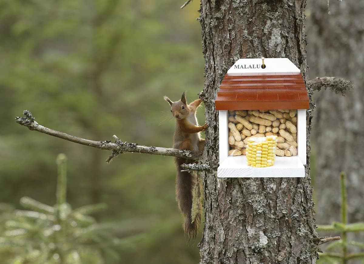 Squirrel Feeder for Outside with Corn Cob Holder.Squirrel Picnic Table Feeder.