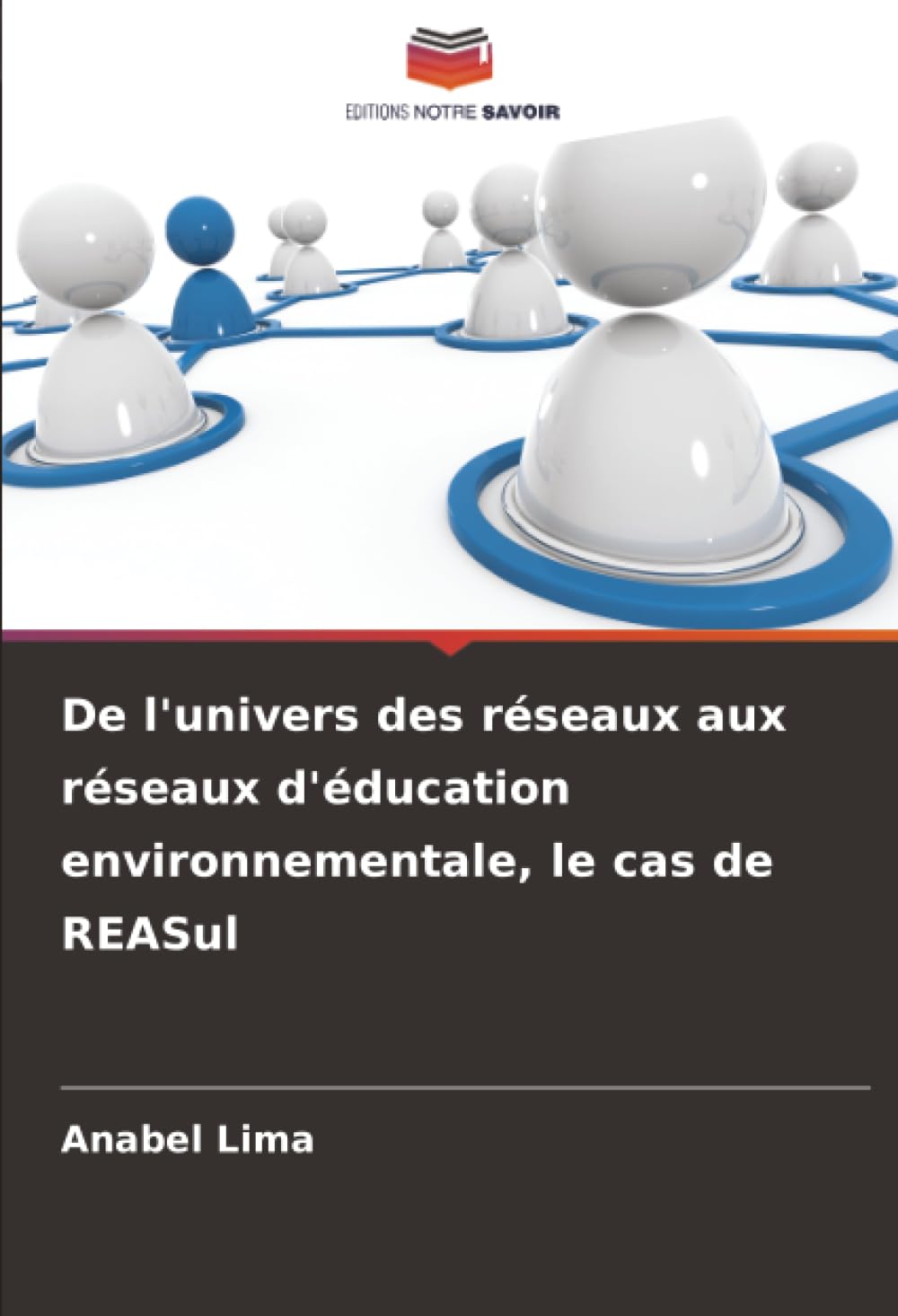 De l'univers des réseaux aux réseaux d'éducation environnementale, le cas de REASul