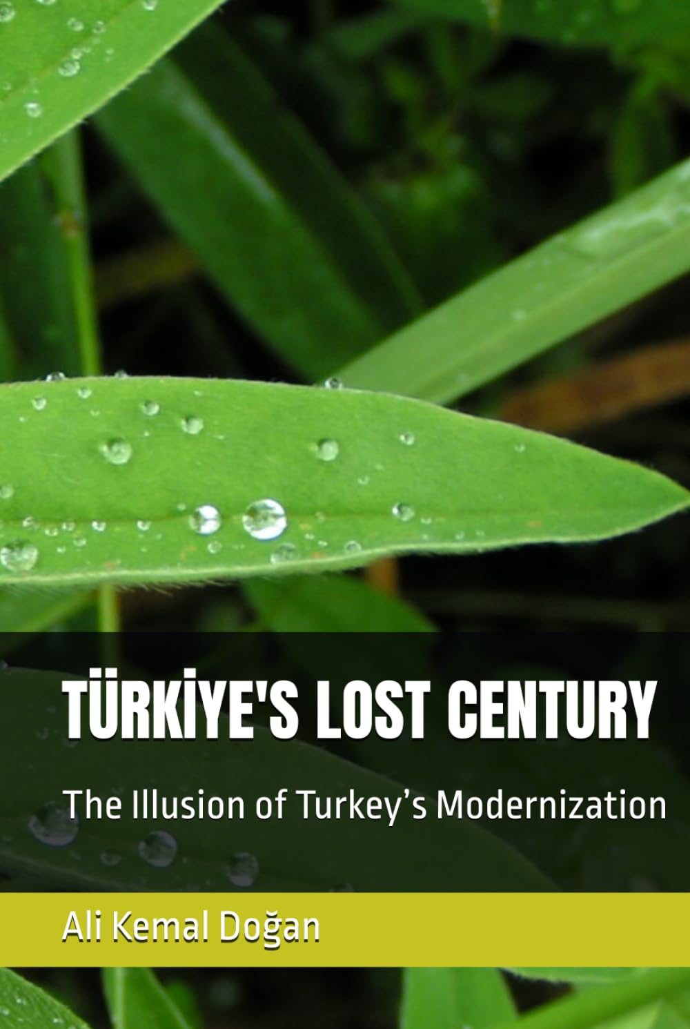 TÜRKİYE'S LOST CENTURY: The Illusion of Turkey’s Modernization