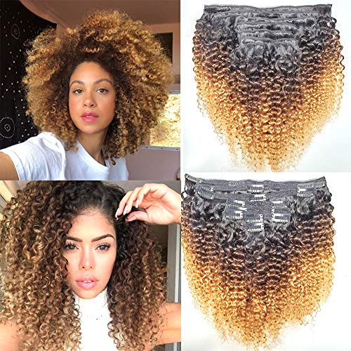PangDongLai T1B/4/27 3C 4A Brazilian Afro Kinky Curly Clip In Human Hair Extensions 8pcs 18clips 120g/set African American Brazilian Jerry Curly Clip In Human Hair (18 Inch, 1B/4/27 3C4A Curly)