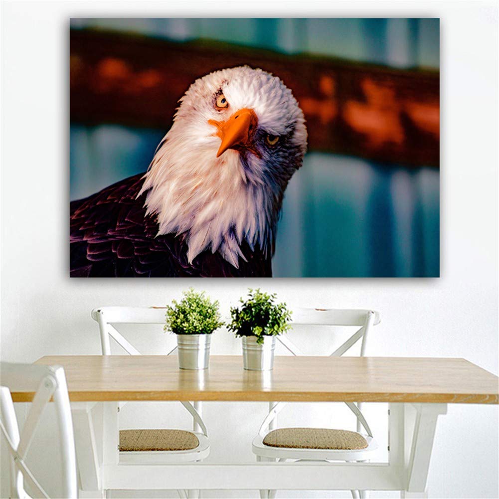 DIY broderie diamant aigle animal 60x120cm kit peinture par numéro 5D