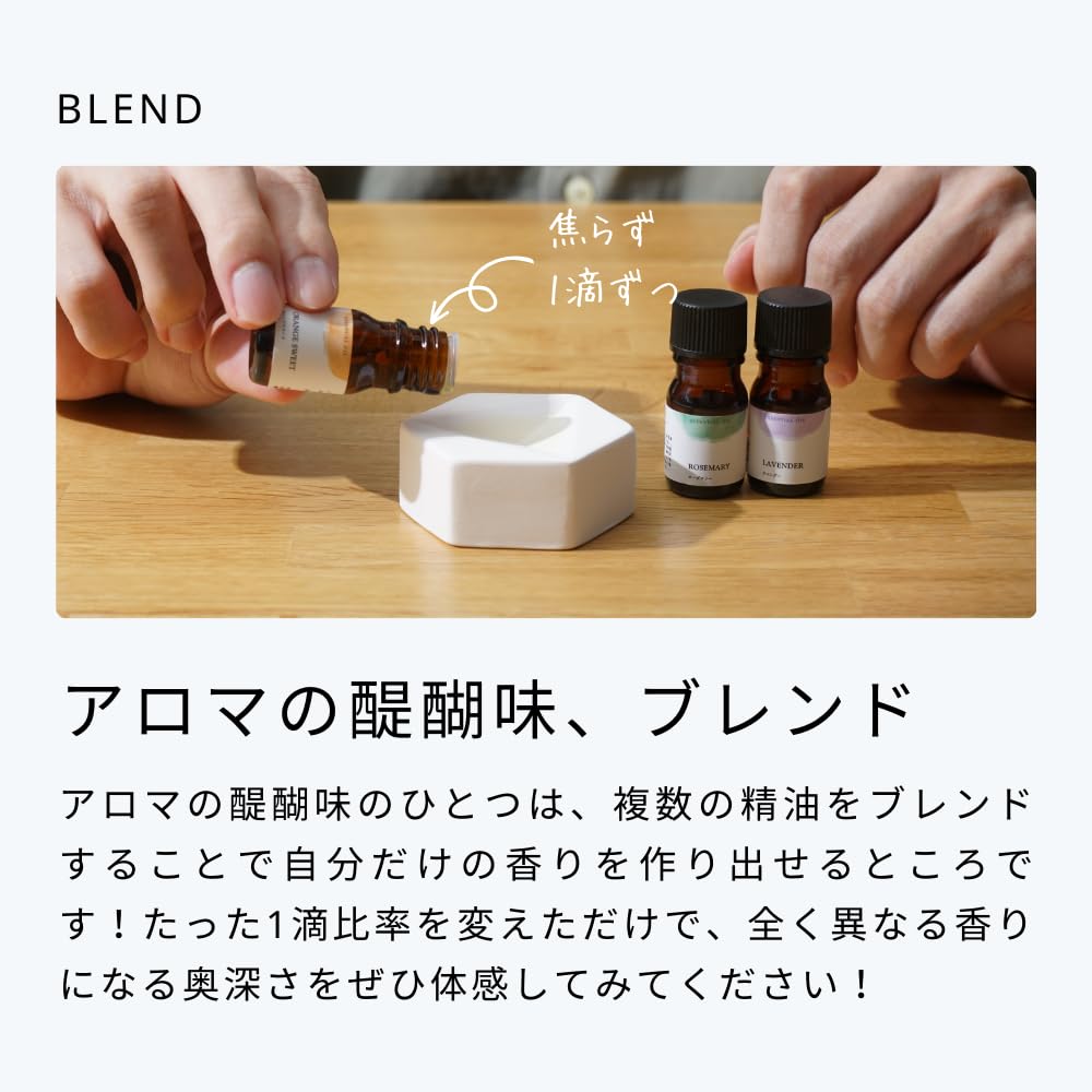 Amazon.co.jp: 生活の木 生活の木のはじめてみた。アロマストーン