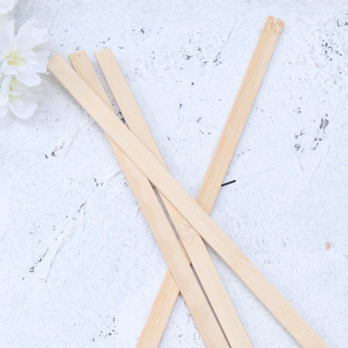 50pcs Craft Sticks for DIY Bird Cage Projects 3.5x10mm