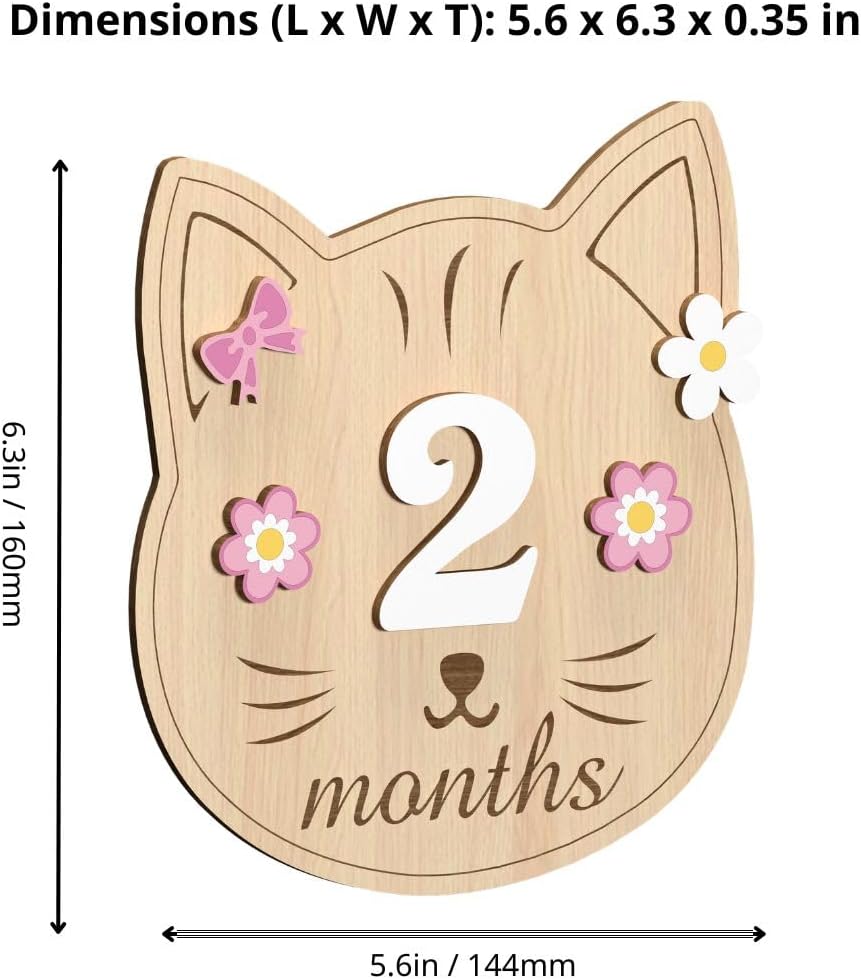 Baby Monthly Milestone Signs - Monthly Baby Milestone Signs Girl (M1) image 5