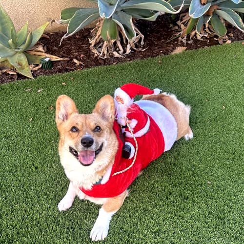 Mfsdai Hund Weihnachtskostüm, Santa Reiten Kleidung Hundekostüm, Hundepullover Mantel Weihnachten Rot für Kleine Mittel Große Hunde Katzen XL