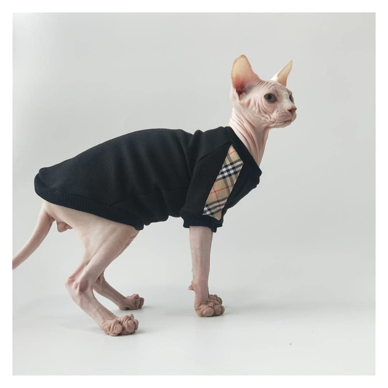 SPHYNX CAT Ubranka dla kotów z fakturą, bawełniana czarna koszulka z dodatkiem aksamitu,Odzież dla kotów(Free,M)