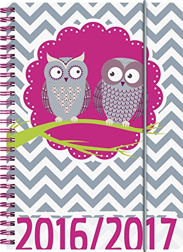 Preisvergleich Produktbild Brunnen 107297917 Schülerkalender / Schüler-Tagebuch (2 Seiten = 1 Woche, 14,8x21cm (A5), PP-Einband Eule, Kalendarium 2016 / 2017)
