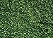SJOLOON Green Leaves Backdrop Grass Backdrop Natural Green Lawn Party Photography Backdrop Birthday Newborn Baby Lover Wedding Photo Studio Props 10923 (8x6FT)