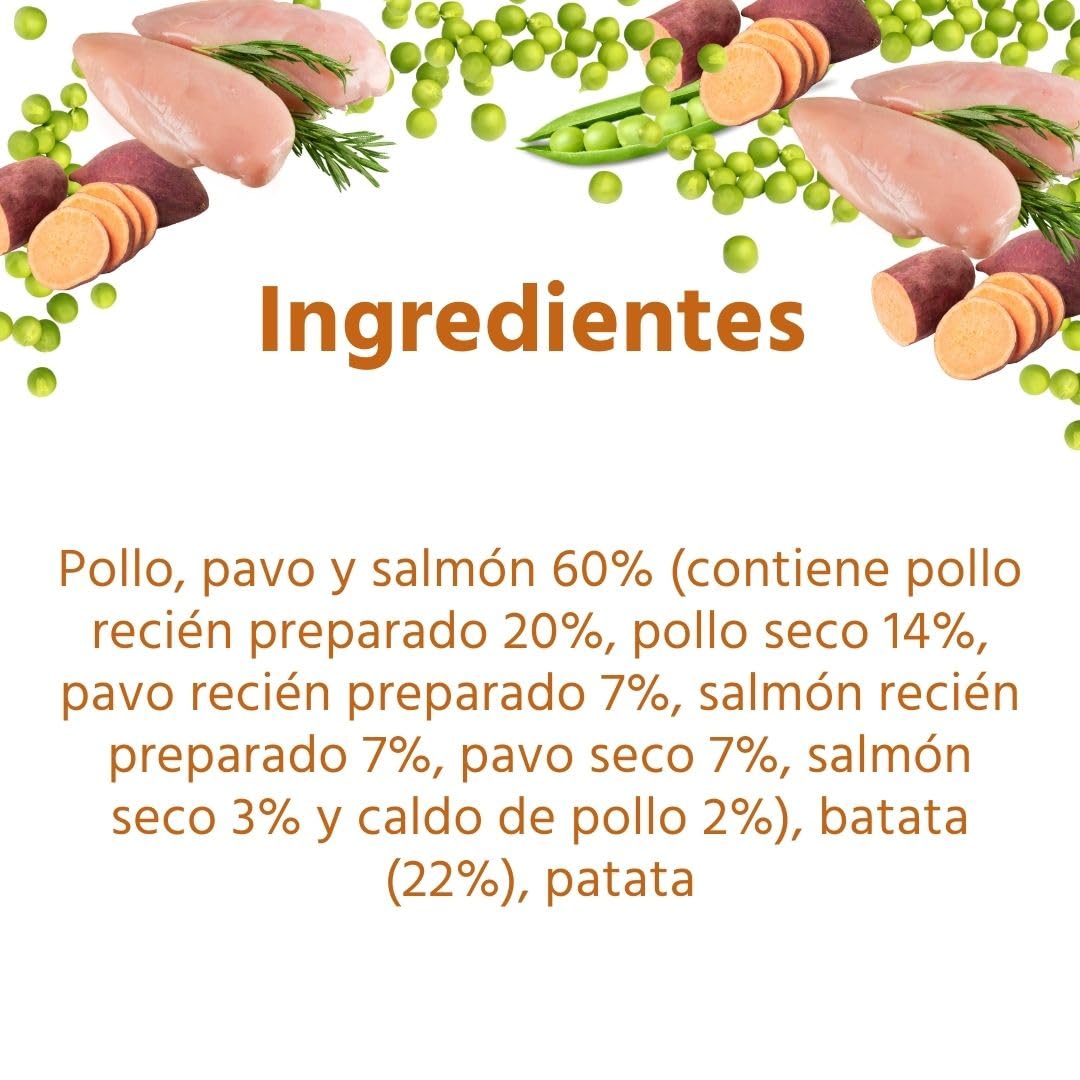 Wildfang® Alimento Seco para Perros 6kg – Pienso Premium con Pollo y Pavo, Sin Cereales ni Gluten, con Ingredientes Naturales, Sin Azúcar Añadido Comida para Cachorros y Perros Pequeños – Paquete de 1