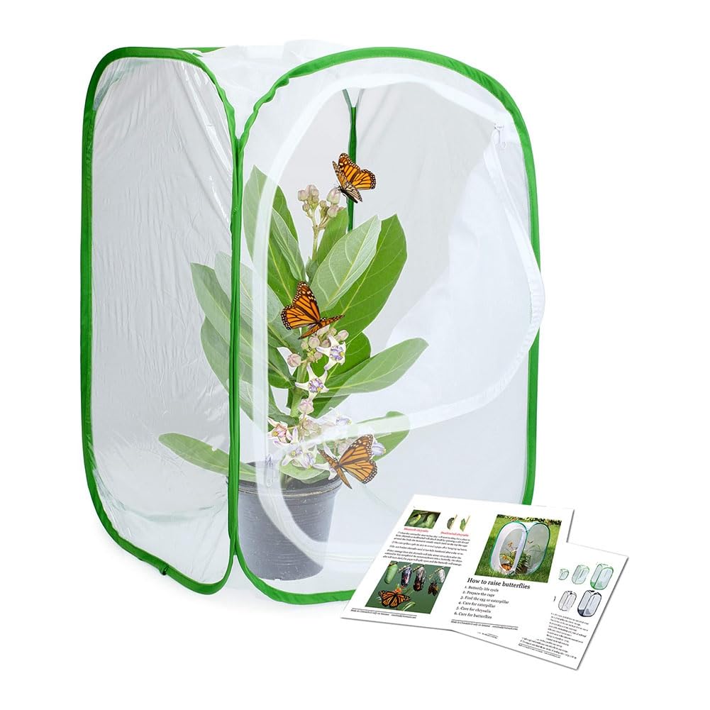 Lot de 2 cages à insectes et papillons pour terrarium 40 x 40 x 60 cm