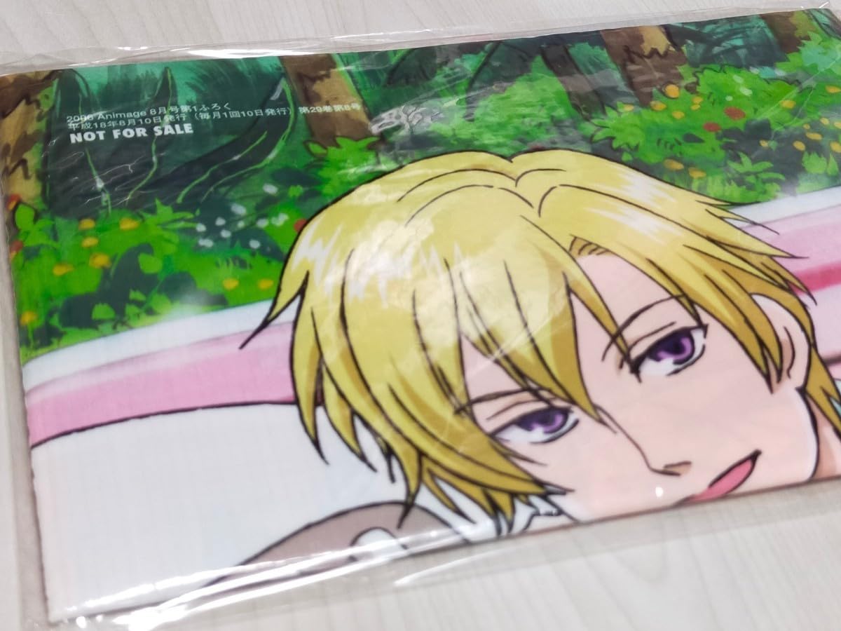 桜蘭高校ホストクラブファンブック　設定資料集 Amazon.co.jp: 桜蘭高校ホスト部 設定資料集 : ホビー