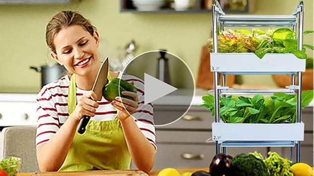 Amazon.com: Hydroponics Growing System Plant Germination