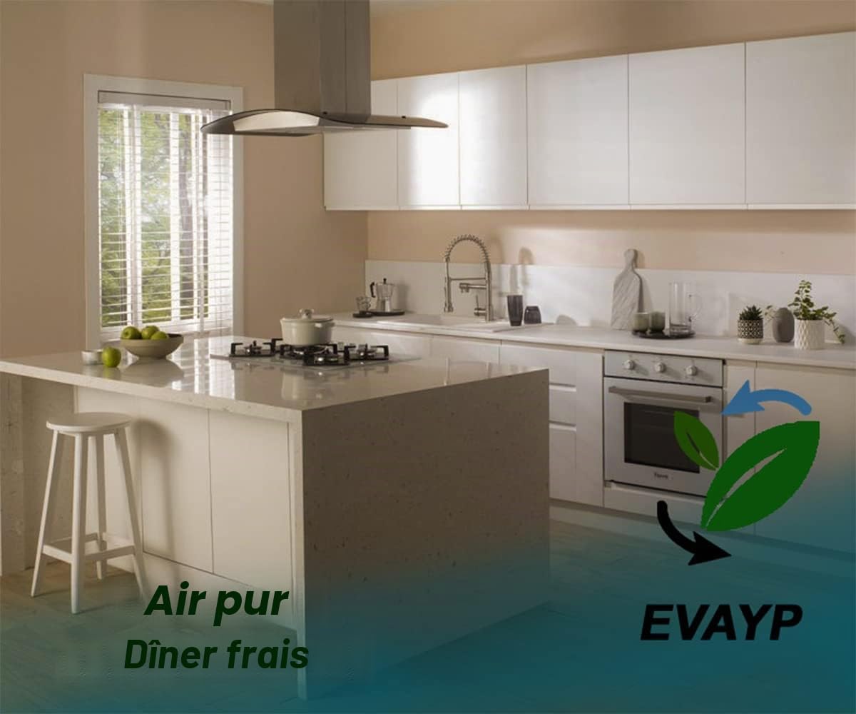 Filtre à charbon actif Convient pour Electrolux Zanussi 9029798767 ECFB01 33005299 Best 08999113 hottes de cuisine, hottes aspirantes