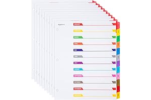 Amazon Basics Monthly Tab Dividers