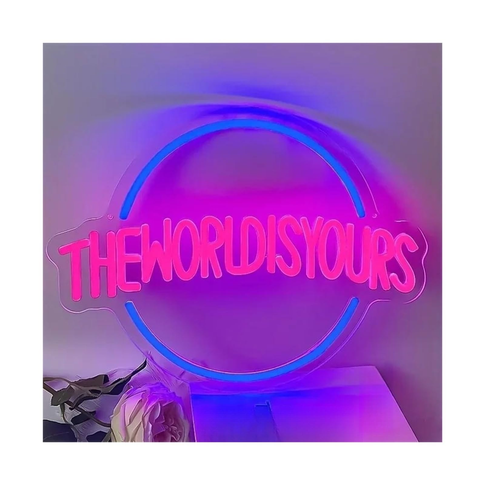 SHOUXI Sign Lamp The World is Yours Neon Sign Wall Decor, Home Accessories Man Cave Beer Bar Party Decor USB Powered Lamps 39.6cmх30.2cm