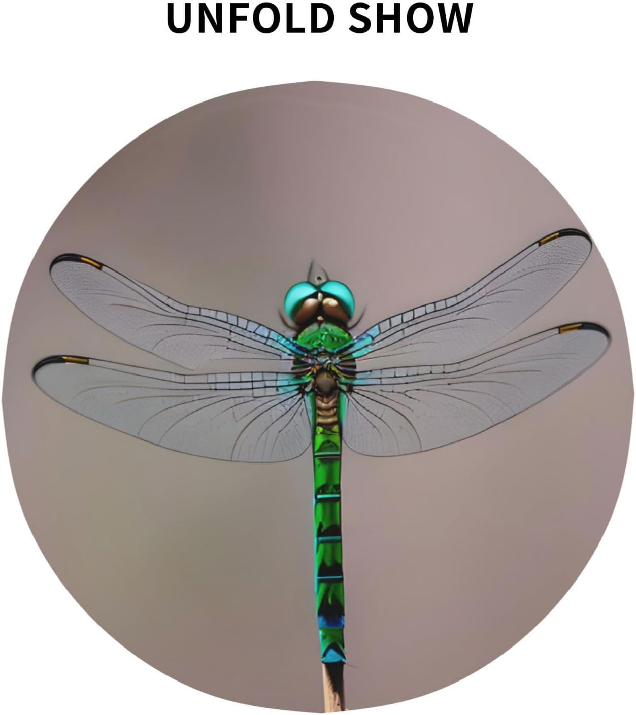 Dragonfly Print Wrinkle Free Dining Table Cover for Birthday Party Farmhouse Tablecloths Up to 60 x 60 Inches