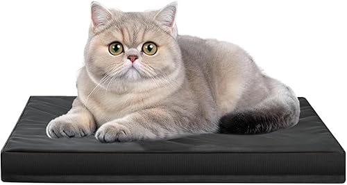 Cama indestructible para mascotas, almohadilla de espuma viscoelástica para perros y gatos pequeños, cama de tela Oxford impermeable y duradera con