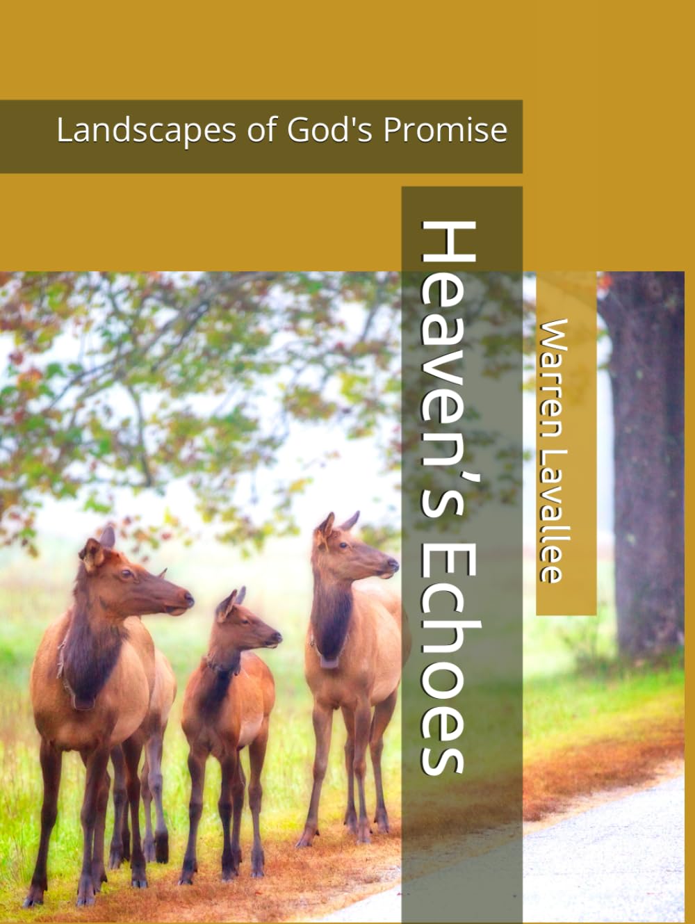 Heaven’s Echoes : recueil photo des promesses de Dieu pour l'âme