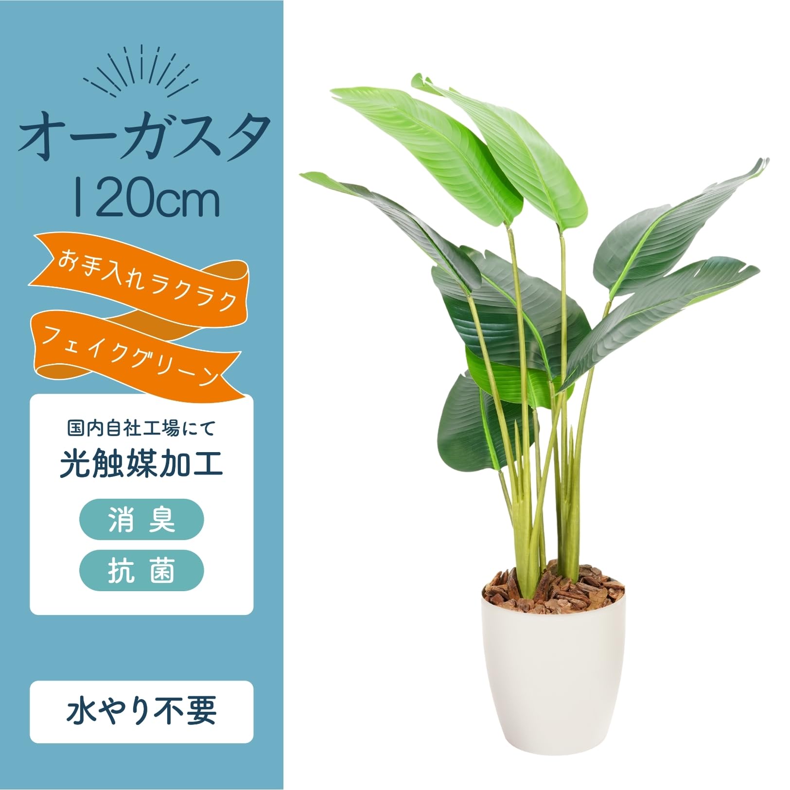 Amazon｜Botanical life+ フェイクグリーン 観葉植物 光触媒 日本製 消 