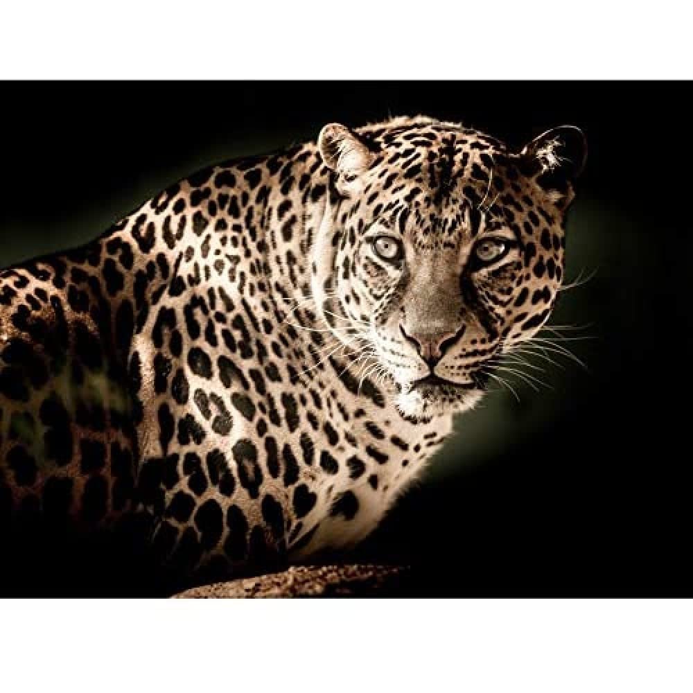 Artery8 Leopard Big Cat Spots Photo Unframed Wall Art Print Poster Home Decor Premium