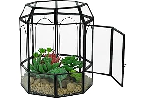 Ferrisland Black Geometric Terrarium Jar - A Haven for Nature's Delights