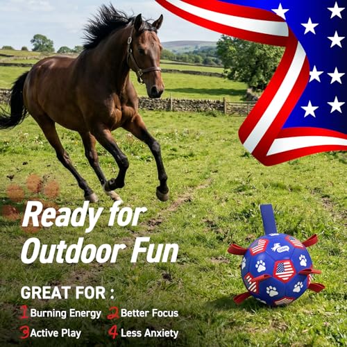 Image of QDAN Dog Balls with Straps, Large Herding Balls for >90lbs Dogs, Soccer Toy | 9 Inch Soccer Ball for Dogs with Tabs for Outside Play, High Energy Dogs to Keep Them Busy, Interactive Tug Toy for Training