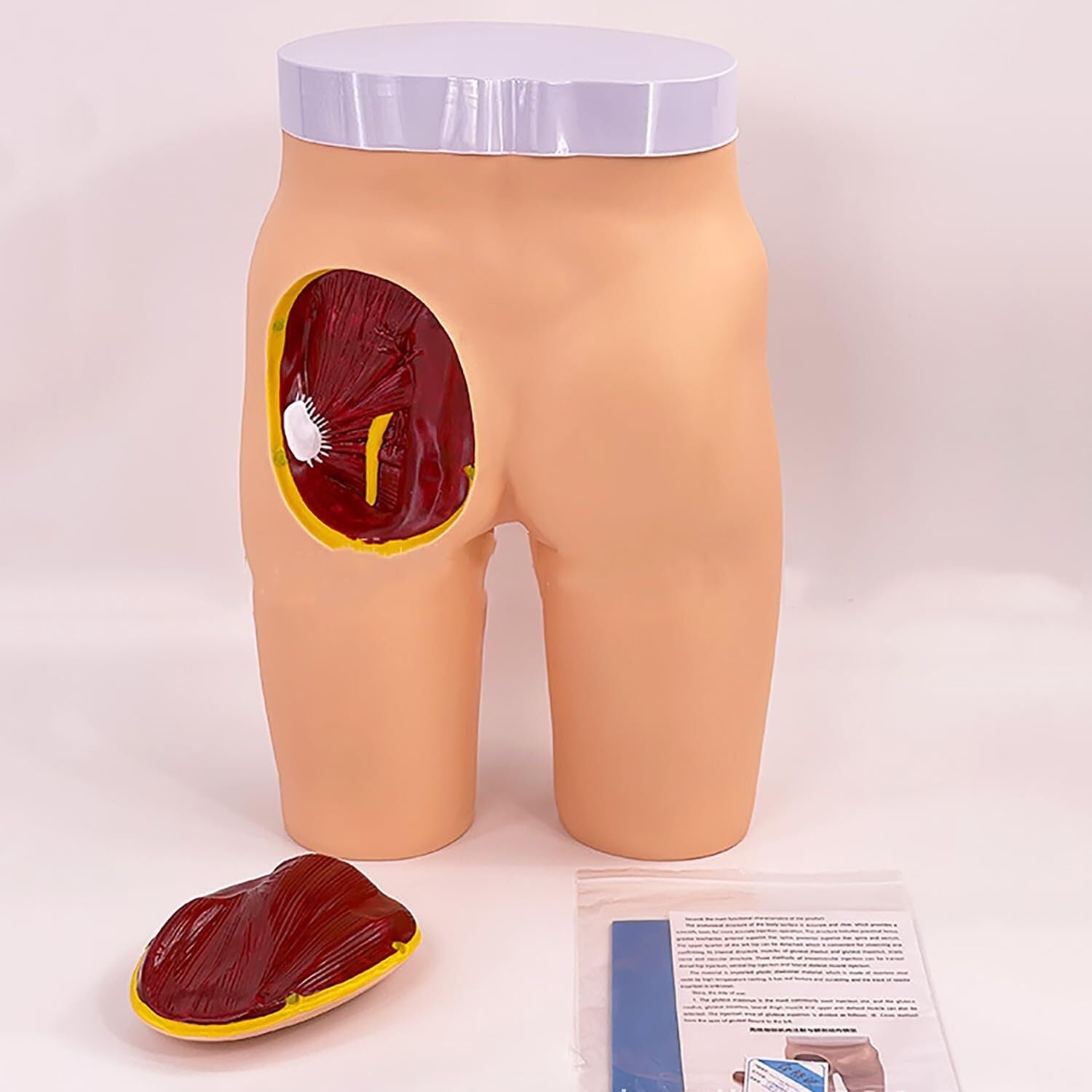 Anatomiczny model treningowy do edukacji medycznej, 3 metody praktyki, trwały materiał z tworzywa sztucznego, przejrzyste narzędzie obserwacyjne dla studentów i pielęgniarek