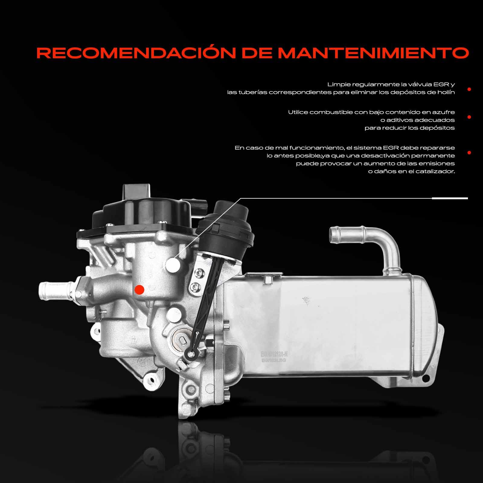 Frankberg Válvula EGR enfriador recirculación de gases de escape | 03L131512BG; Compatible con: Exeo 3R2, A4 Allroad 8KH, A6 4G2 4GC, A5 Sportback 8TA, Exeo ST 3R5, A5 Cabriolet 8F7