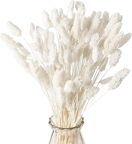 Miniatura 10 de Ramo de pampas secas (bola blanca)