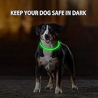 Vista 2 de Paquete de 2 collares LED para perro, collares de perro con luz, luces recargables para perros para caminar por la noche, collar de seguridad