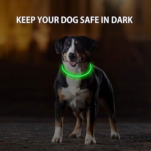 Miniatura 2 de Paquete de 2 collares LED para perro, collares de perro con luz, luces recargables para perros para caminar por la noche, collar de seguridad