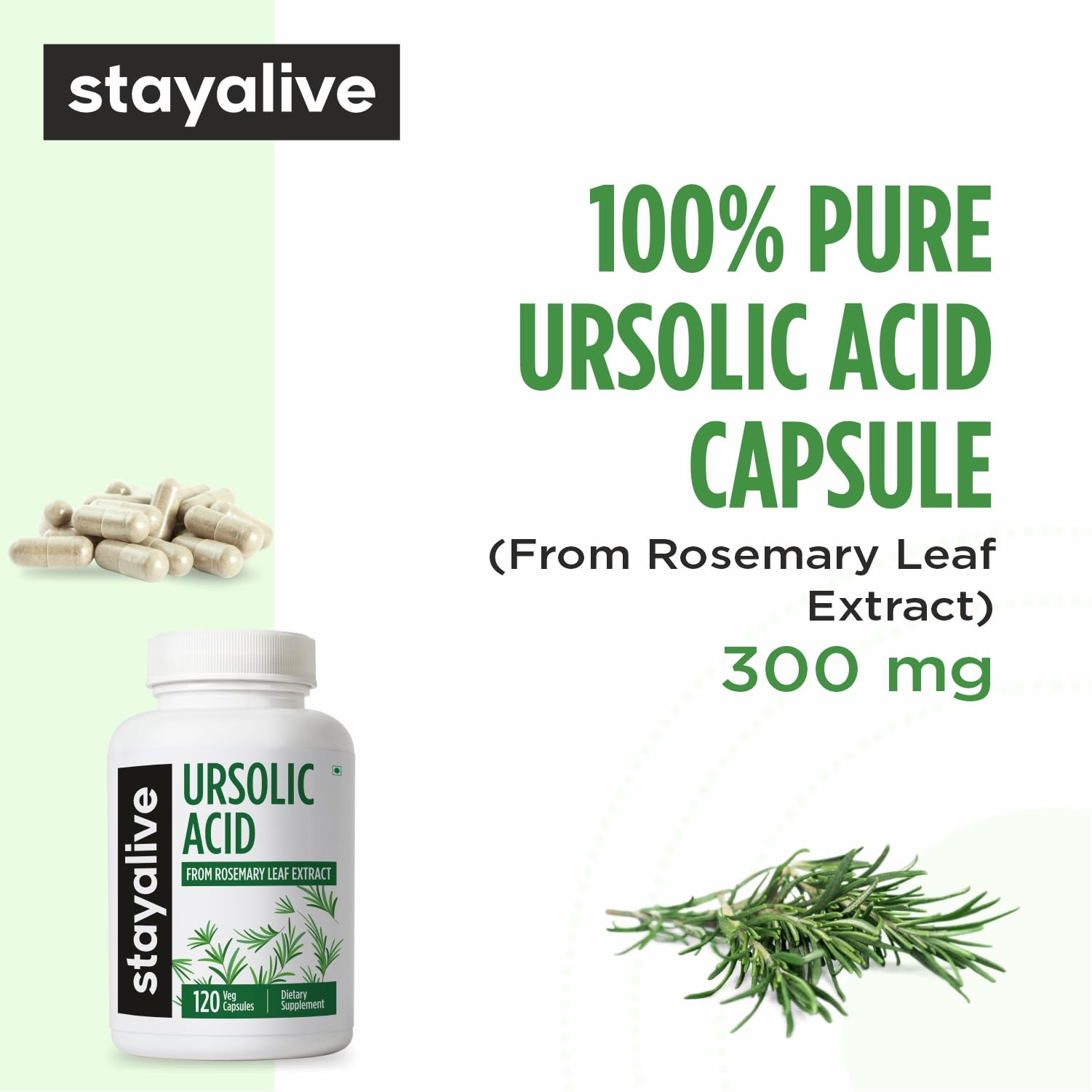 STAY ALIVE Ursolic Acid Supplement for Men & Women 300mg, 120 Pills, Rosemary Leaf Extract Powder, Non-GMO and Gluten-Free Pure Ursolic Acid Capsules 1