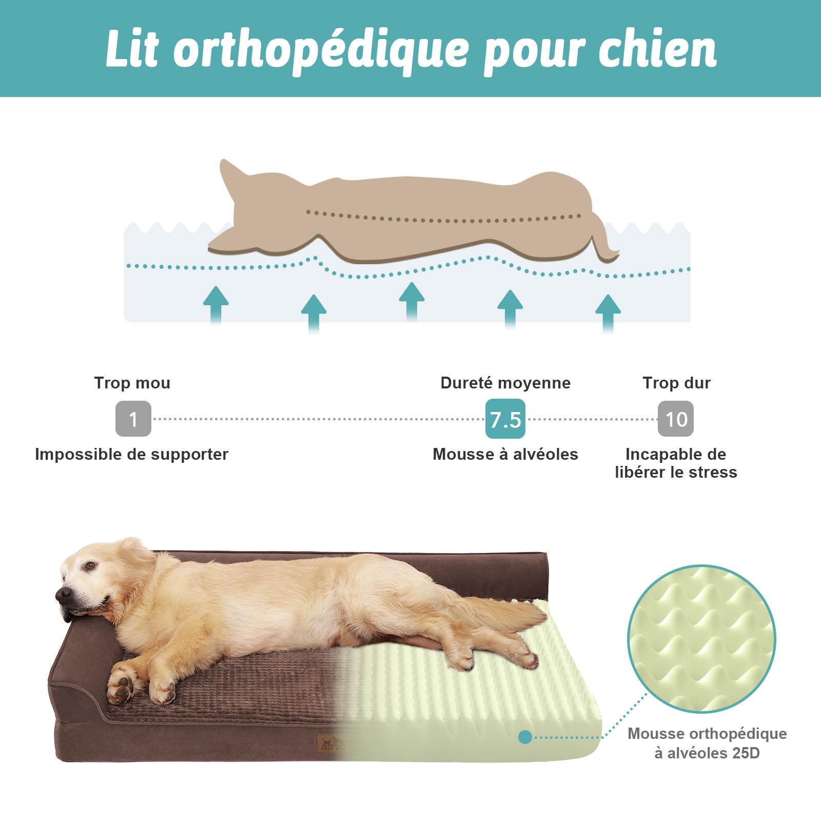 COZY KISS Canapé Chien Orthopedique Dehoussable Grande Taille L 107cm