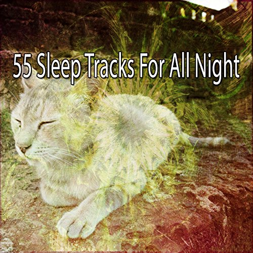 55 Sleep Tracks For All Night All Night Sleeping Songs to