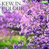 Monatsansicht Royal Botanic Gardens Kew, Kew in Colour Square Wall Calendar 2022