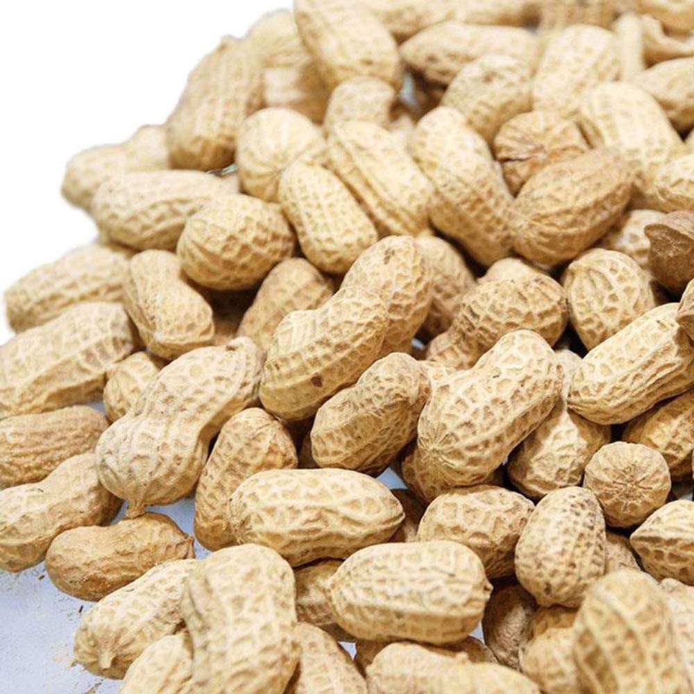 20pcs Peanut Seeds Farm Gardening Seed Drought Tolerant Without Too Much Investment Upright Growth Light Up Your Gardens