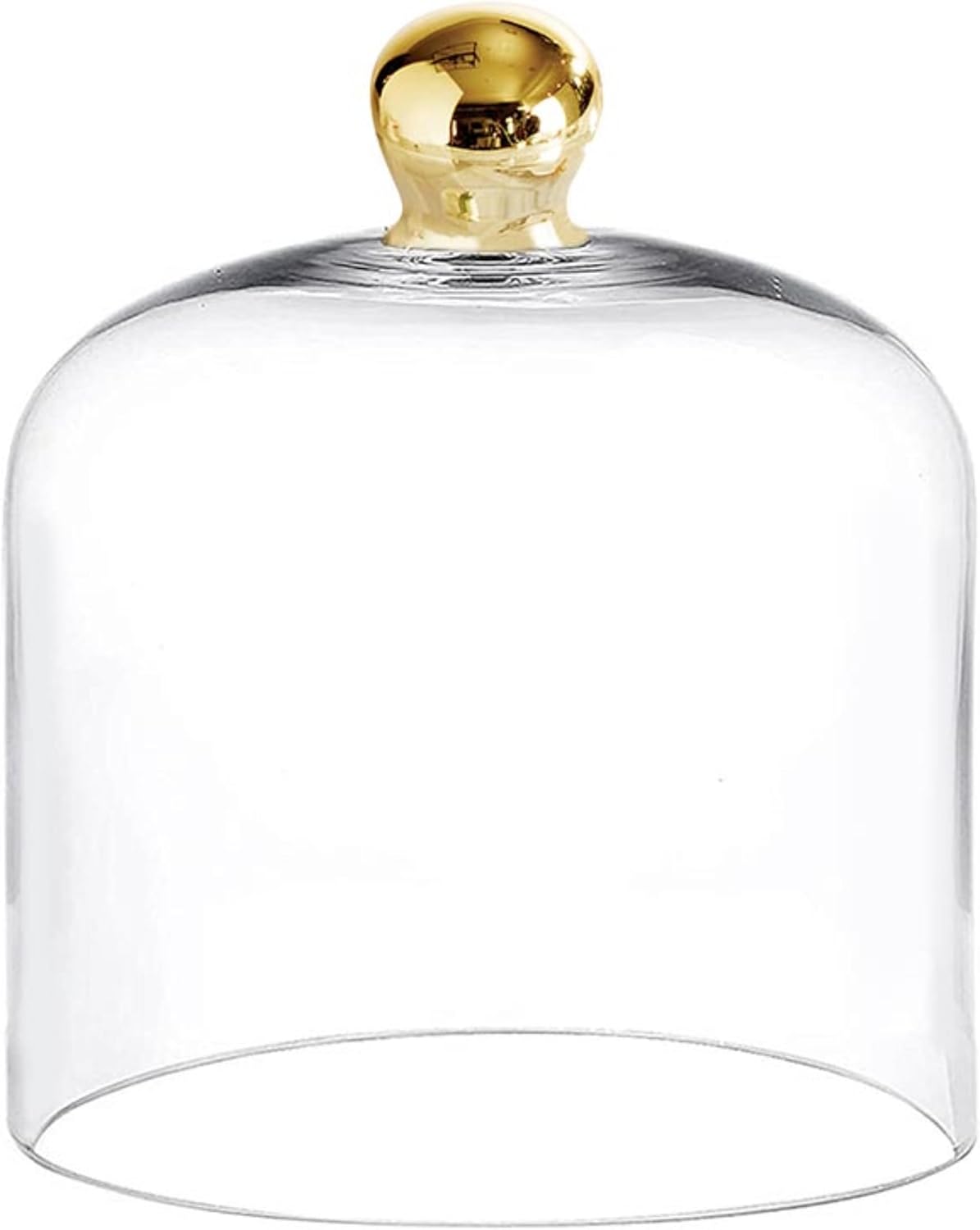 Santa Barbara Design Studio Glass Dome Food Cover Gold Knob Cloche, Medium, Clear