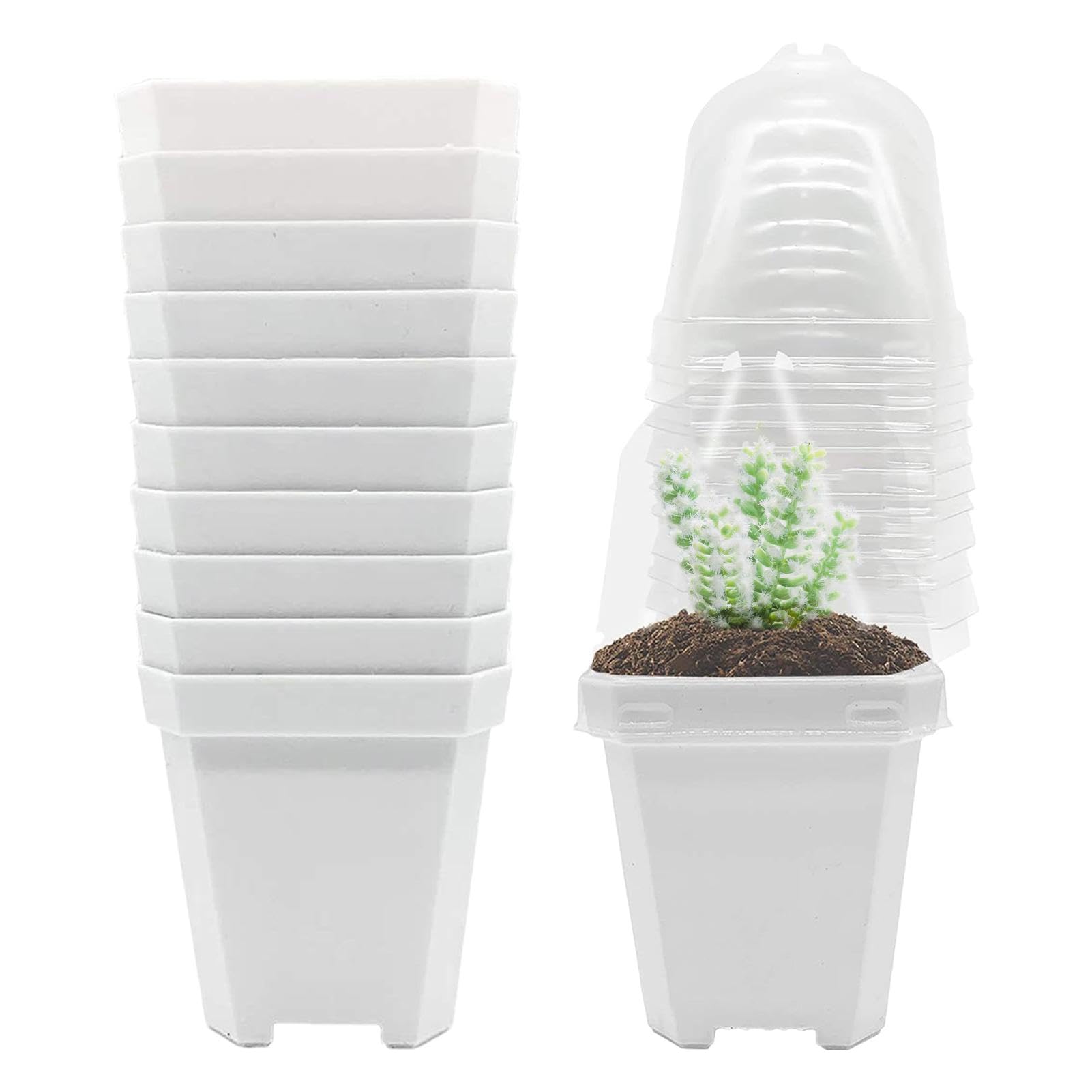 Pots de fleurs miniatures anti-pourrissement pour sauver vos plantes grasses
