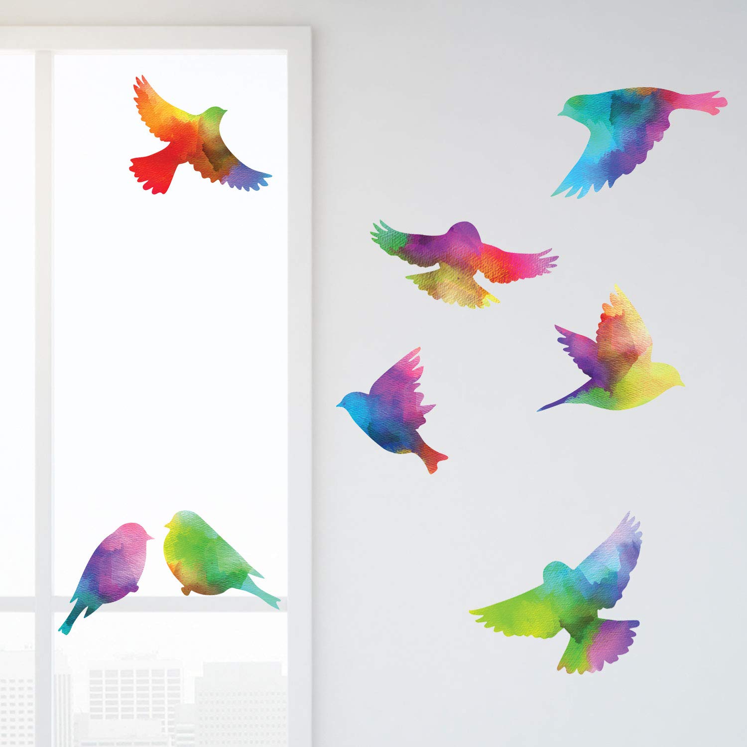 Beautiful Colorful Bird Flying