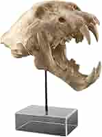 木彫　剣歯虎　ティラコスミルス　頭骨模型　1/2スケール 木彫 剣歯虎 ティラコスミルス 頭骨模型 1/2スケール 木彫 剣歯虎