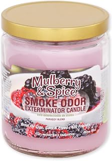 Mulberry & Spice jar Candle, 1 Piece – Red
