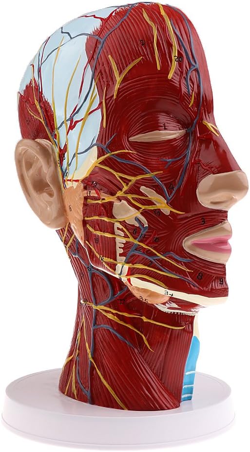 YuYo キッズ 女の子 ワンピース チュニック 半袖 Tシャツ ボーダー フレアスカート 切り替え 子供ドレス aライン 春夏 か