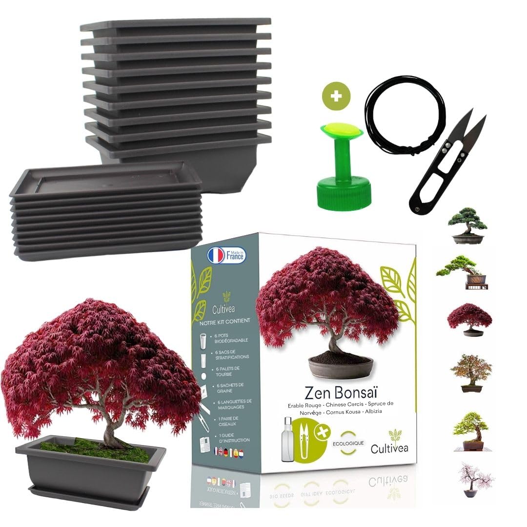 CULTIVEA® Kit Prêt à Pousser Bonsaï – Graines Françaises 100% Écologiques - Jardinez et décorez - Idée Cadeau - Made in France (Coffret duo bonsaï, 1)