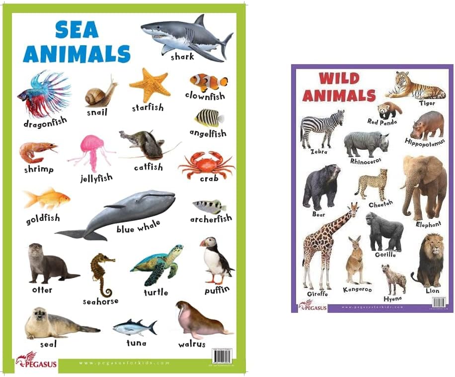 Sea Animals - Thick Laminated Primary Chart+Wild Animals - Thick Laminated Primary Chart (Set Of 2 Books) Product Bundle